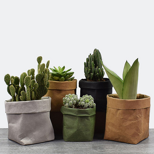Stylische Pflanzgefäße aus Papier für moderne Dekoration