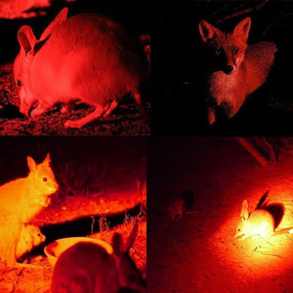 Wiederaufladbare LED Stirnlampe mit Weiß-, Rot- und Grünlicht – Leistungsstarke Kopflampe mit USB und Akku