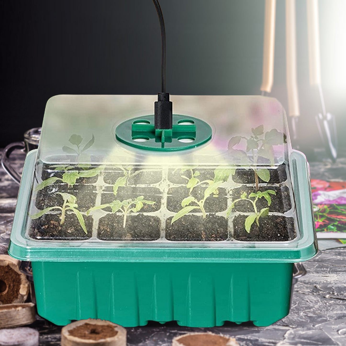 Anzuchtset mit Licht – Komplettes Set für Erfolgreiche Pflanzenanzucht