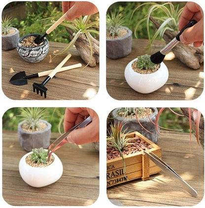 Sukkulentengarten-Werkzeug-Set mit Sprühflasche und Zubehör