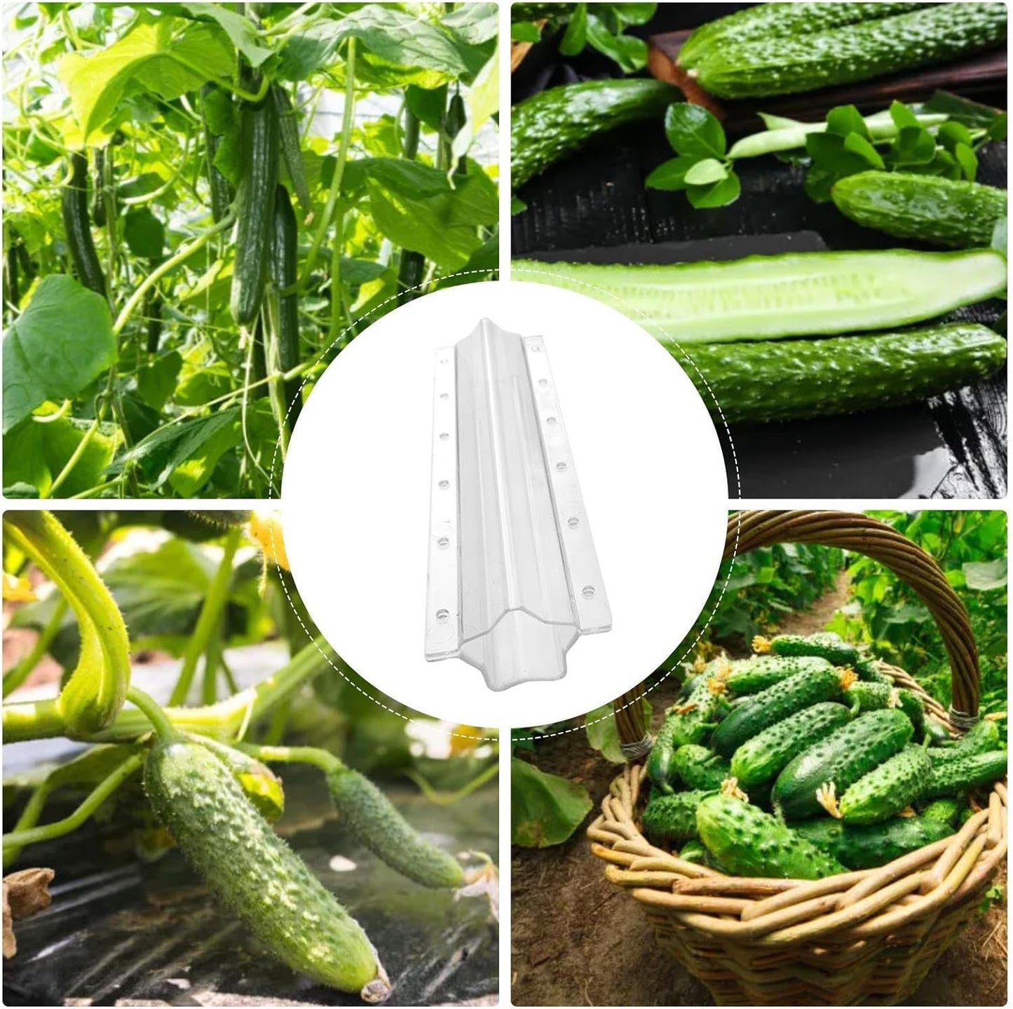 Sternform Gemüseform für Gurken – Kreative Formschiene für Obst und Gemüse