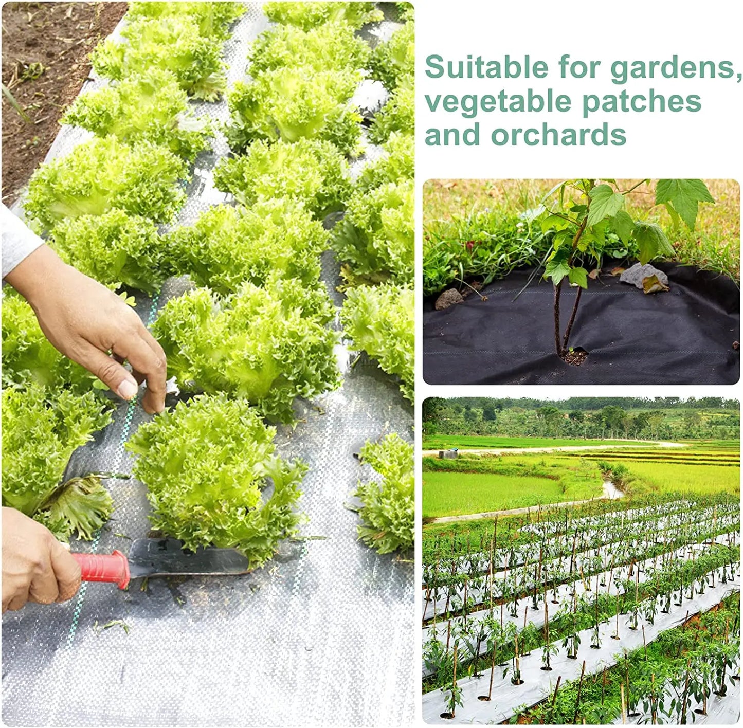 Unkrautvlies Roll – Robust und Atmungsaktiv für Garten und Pflanzenpflege